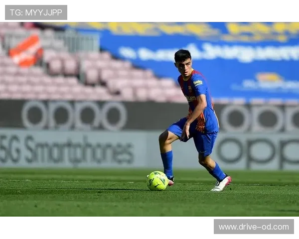 佩德里出勤率与身体耐负荷分析：伤病体质解析