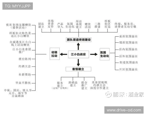 奥利塞的发展路径是否契合其战术定位？